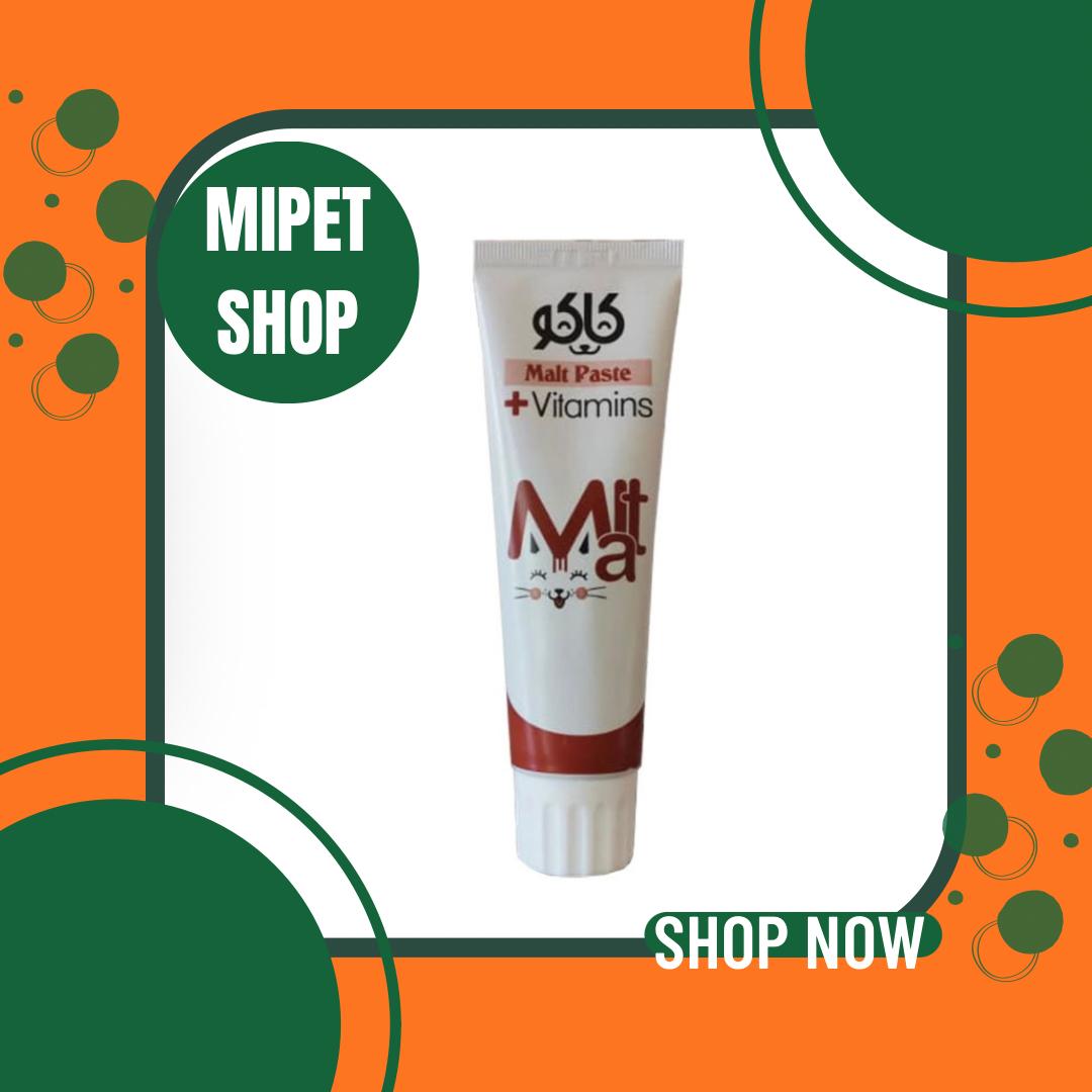 WhatsApp Image 2025-05-12 at 12.41.44 PM