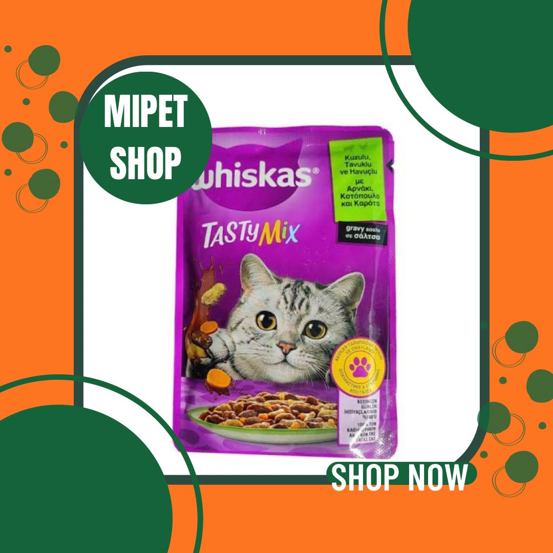 WhatsApp Image 2025-12-02 at 10.22.33 PM